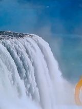 팜모닝 · 게시글 이미지