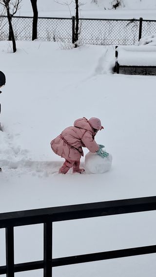 작은정원 박기석님의 자유주제 · 자유게시판 작성글 사진