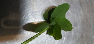 산사람산사람님의 설날 계획 공유해요 · 참여글 작성글 사진