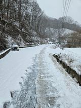 팜모닝 설날 계획 공유해요·참여글 게시글 이미지