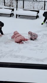 팜모닝 자유주제·자유게시판 게시글 이미지