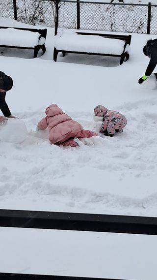 작은정원 박기석님의 자유주제 · 자유게시판 작성글 사진