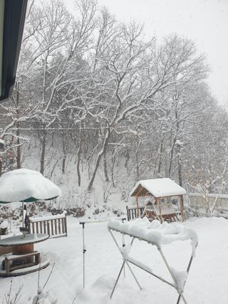 샤이니바다님의 설날 계획 공유해요 · 참여글 작성글 사진