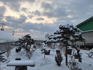 이상권님의 자유주제 · 자유게시판 작성글 사진