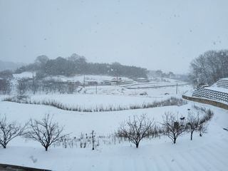 한윤원님의 설날 계획 공유해요 · 참여글 작성글 사진