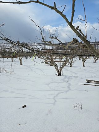 산들농원님의 설날 계획 공유해요 · 참여글 작성글 사진