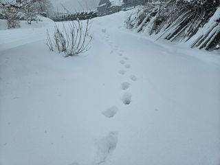 뿡뿡농장님의 자유주제 · 자유게시판 작성글 사진
