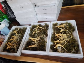 박헌님의 설날 계획 공유해요 · 참여글 작성글 사진