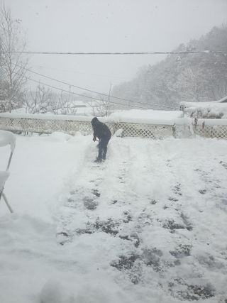 샤이니바다님의 설날 계획 공유해요 · 참여글 작성글 사진