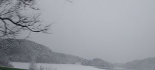 낙엽교목류15665님의 설날 계획 공유해요 · 참여글 작성글 사진