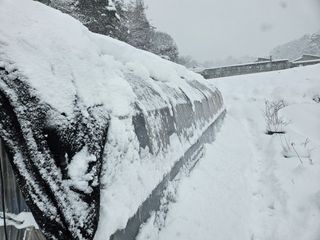 뿡뿡농장님의 자유주제 · 자유게시판 작성글 사진