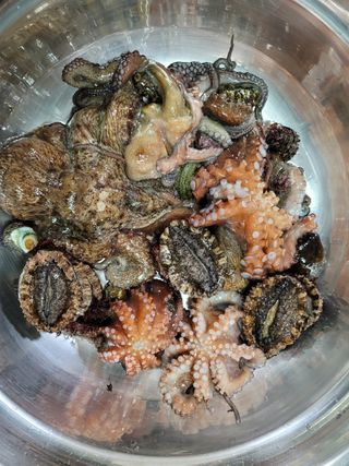 청송농장16987님의 설날 계획 공유해요 · 참여글 작성글 사진