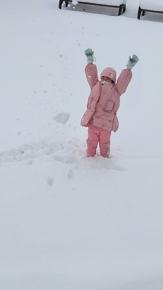 작은정원 박기석님의 자유주제 · 자유게시판 작성글 사진