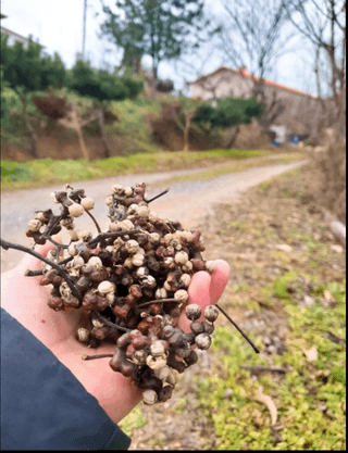 조새힘님의 자유주제 · 자유게시판 작성글 사진