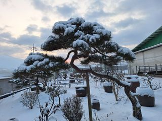 이상권님의 자유주제 · 자유게시판 작성글 사진