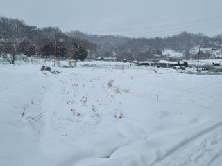 들꽃농장님의 설날 계획 공유해요 · 참여글 작성글 사진