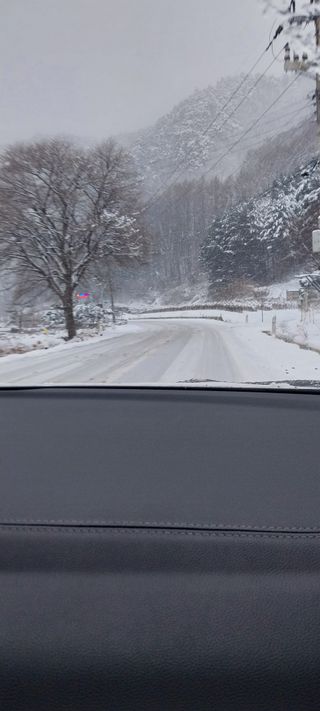 낙엽교목류15665님의 설날 계획 공유해요 · 참여글 작성글 사진
