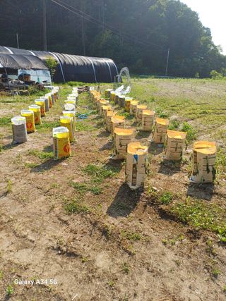 심 영훈님의 작성글 사진