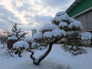 이상권님의 자유주제 · 자유게시판 작성글 사진