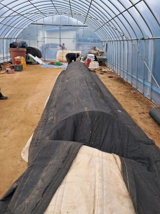 박태현님의 자유주제 · 자유게시판 작성글 사진