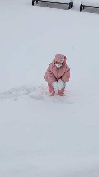 작은정원 박기석님의 자유주제 · 자유게시판 작성글 사진