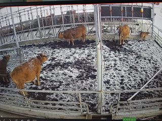 이상권님의 자유주제 · 자유게시판 작성글 사진