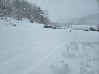 뿡뿡농장님의 자유주제 · 자유게시판 작성글 사진