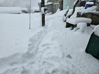 뿡뿡농장님의 자유주제 · 자유게시판 작성글 사진