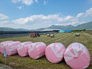 정미리님의 자유주제 · 자유게시판 작성글 사진