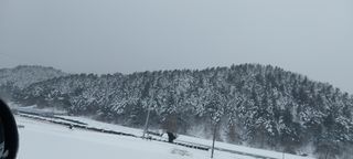 낙엽교목류15665님의 설날 계획 공유해요 · 참여글 작성글 사진