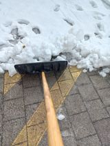 팜모닝 설날 계획 공유해요·참여글 게시글 이미지