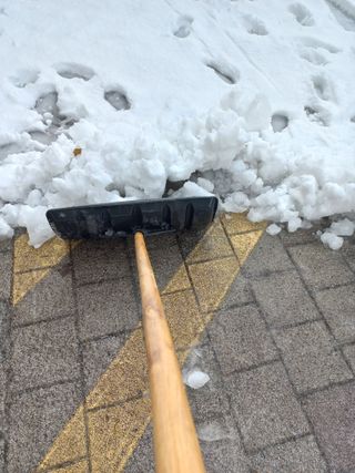 김영복 18167님의 설날 계획 공유해요 · 참여글 작성글 사진