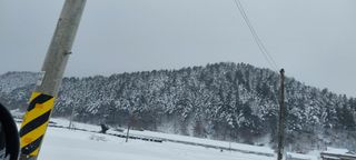 낙엽교목류15665님의 설날 계획 공유해요 · 참여글 작성글 사진