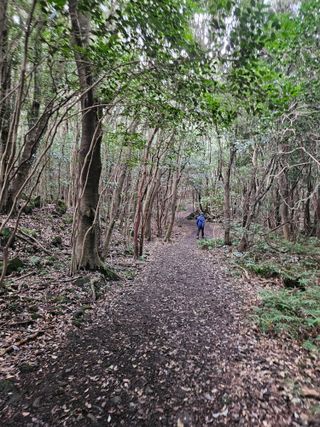 제주 지안이네농장님의 자유주제 · 자유게시판 작성글 사진