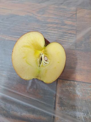 박수정님의 작성글 사진