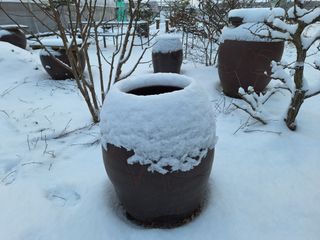 이상권님의 자유주제 · 자유게시판 작성글 사진