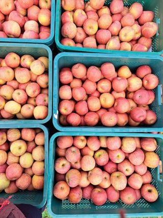 박수정님의 작성글 사진