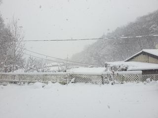 샤이니바다님의 설날 계획 공유해요 · 참여글 작성글 사진