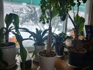 최용환 님의 자유주제 · 자유게시판 작성글 사진