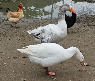 김제일주농장님의 자유주제 · 자유게시판 작성글 사진