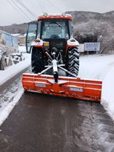 팜모닝 설날 계획 공유해요·참여글 게시글 이미지