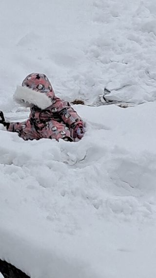 작은정원 박기석님의 자유주제 · 자유게시판 작성글 사진