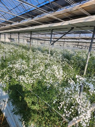 이성자님의 자유주제 · 자유게시판 작성글 사진