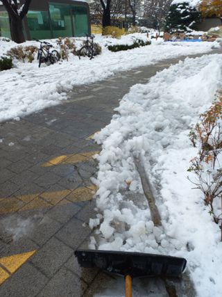 김영복 18167님의 설날 계획 공유해요 · 참여글 작성글 사진