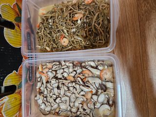 백호순(후추)님의 설날 계획 공유해요 · 참여글 작성글 사진