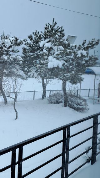 작은정원 박기석님의 설날 계획 공유해요 · 참여글 작성글 사진