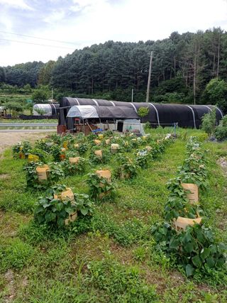 심 영훈님의 작성글 사진