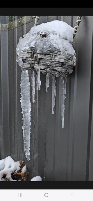 송오목님의 설날 계획 공유해요 · 참여글 작성글 사진