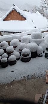 팜모닝 설날 계획 공유해요·참여글 게시글 이미지