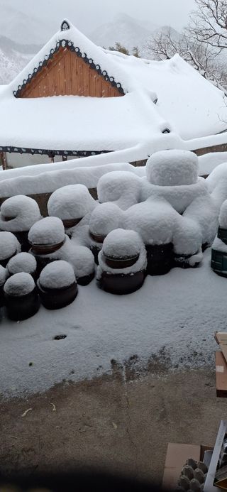 송오목님의 설날 계획 공유해요 · 참여글 작성글 사진